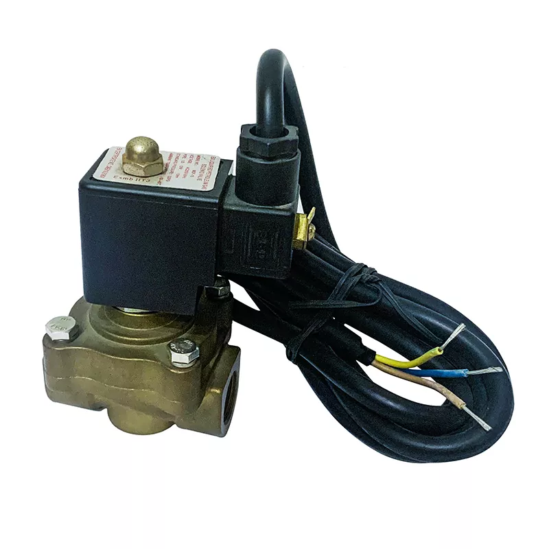 LPG Solenoid भल्भ
