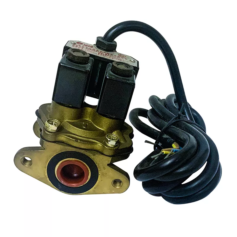 ईन्धन डिस्पेयरको लागि solenoid भल्भ